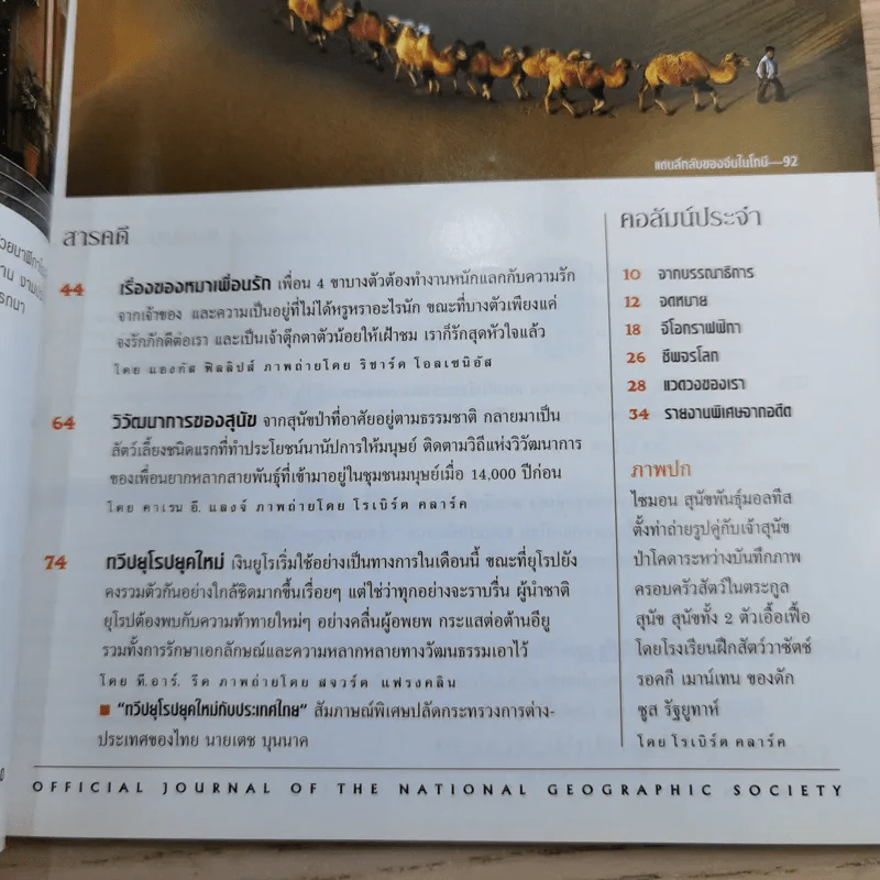 National Geographic ม.ค.2545 วิวัฒนาการของสุนัข หมาป่าสู่หมาบ้าน รูปที่ 8