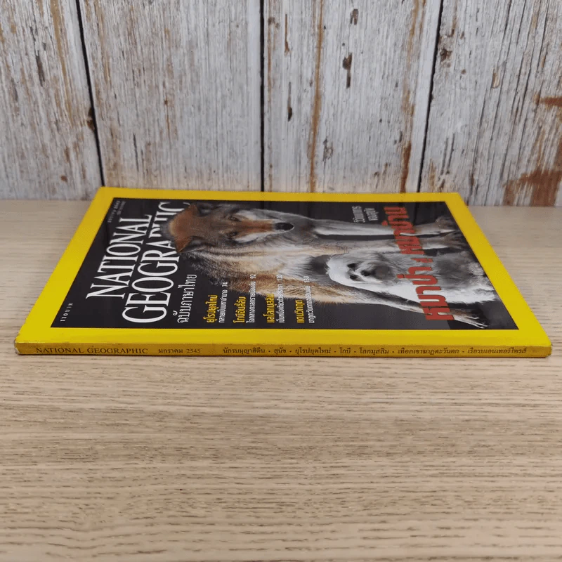 National Geographic ม.ค.2545 วิวัฒนาการของสุนัข หมาป่าสู่หมาบ้าน รูปที่ 2