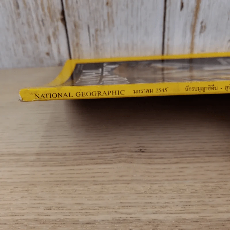 National Geographic ม.ค.2545 วิวัฒนาการของสุนัข หมาป่าสู่หมาบ้าน รูปที่ 3