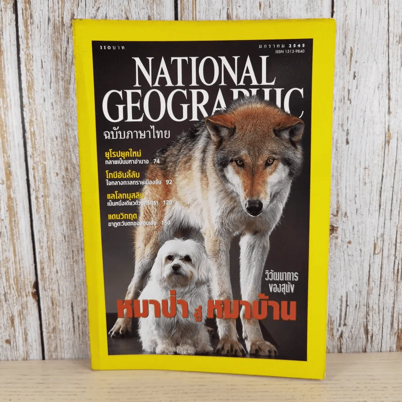 National Geographic ม.ค.2545 วิวัฒนาการของสุนัข หมาป่าสู่หมาบ้าน รูปที่ 1