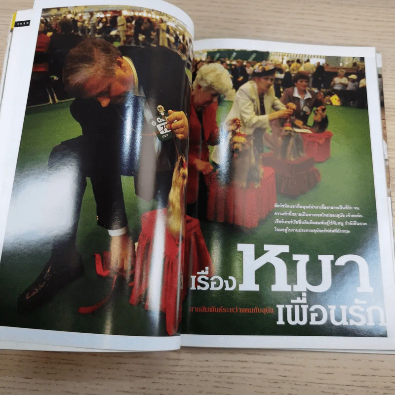 National Geographic ม.ค.2545 วิวัฒนาการของสุนัข หมาป่าสู่หมาบ้าน รูปที่ 11