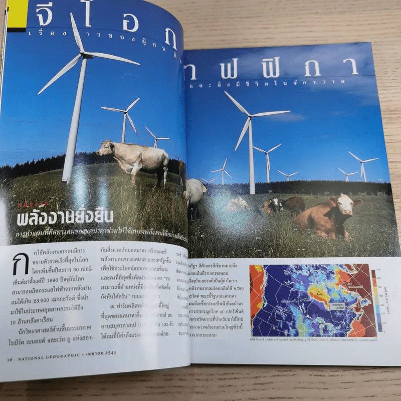 National Geographic เม.ย.2545 พบแล้ว เจ้าของดวงตาที่สะกดคนทั้งโลกมา 17 ปี รูปที่ 10