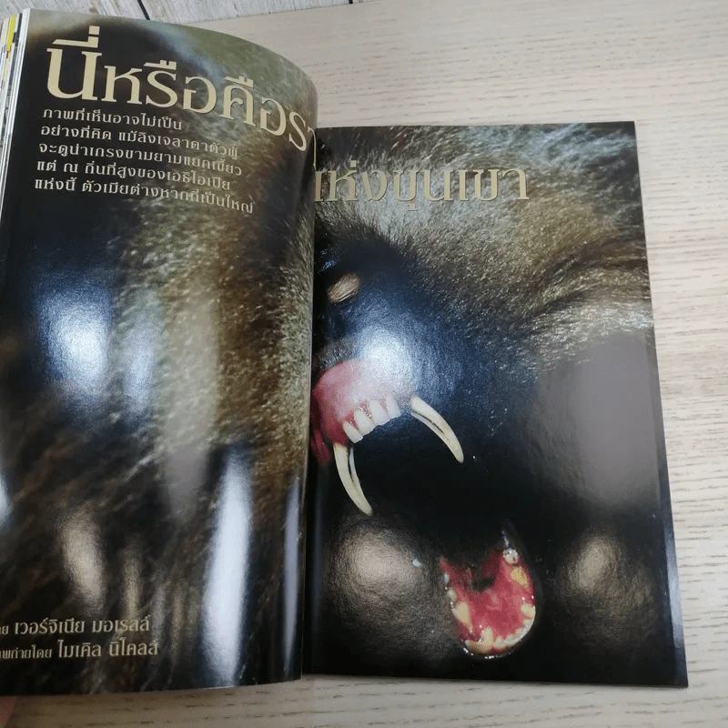 National Geographic พ.ย.2545 ลอกคราบผิวหนัง รูปที่ 12