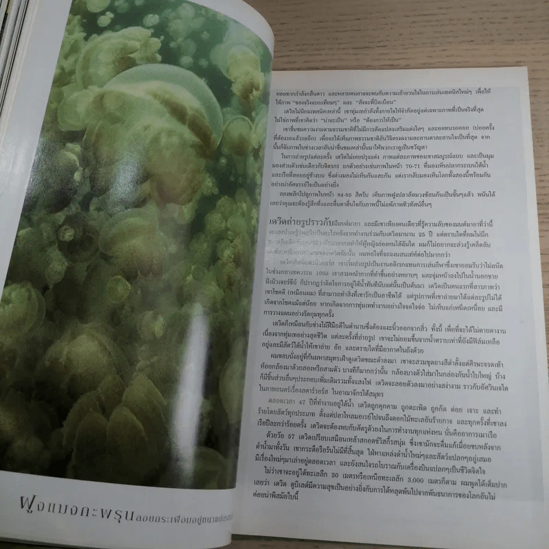 NATIONAL GEOGRAPHIC ต.ค.2545 ปริศนาแห่งแดนไอยคุปต์ รูปที่ 11
