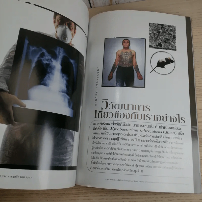 National Geographic พ.ย.2547 ท้าทายทฤษฎีวิวัฒนาการ ชาร์ลส์ ดาร์วิน รูปที่ 12