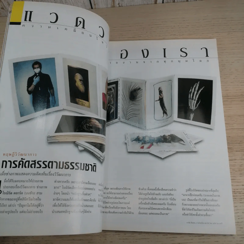 National Geographic พ.ย.2547 ท้าทายทฤษฎีวิวัฒนาการ ชาร์ลส์ ดาร์วิน รูปที่ 9