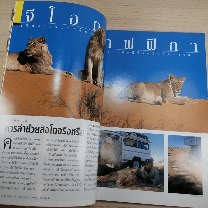 National Geographic ก.ค.2545 อินทรีหัวขาวผงาดฟ้า รูปที่ 10