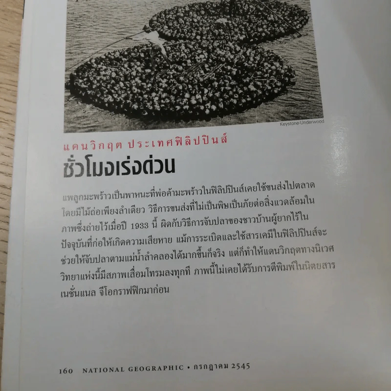 National Geographic ก.ค.2545 อินทรีหัวขาวผงาดฟ้า รูปที่ 15
