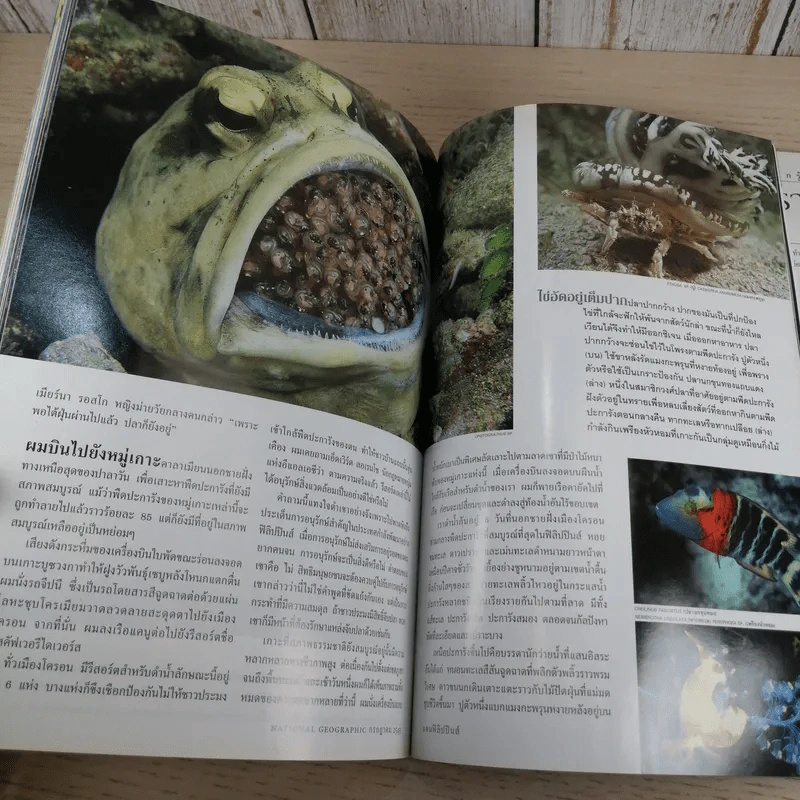 National Geographic ก.ค.2545 อินทรีหัวขาวผงาดฟ้า รูปที่ 14
