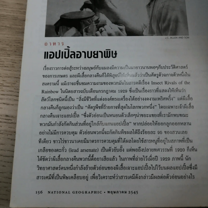 National Geographic พ.ค.2545 มัมมี่แห่งอินคา รูปที่ 15