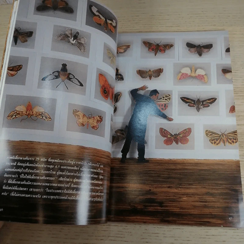 National Geographic พ.ค.2545 มัมมี่แห่งอินคา รูปที่ 11