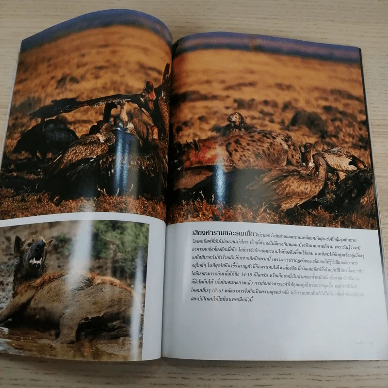 National Geographic มิ.ย.2548 คืนชีวิตให้ฟาโรห์ ตุตันคามุน รูปที่ 13