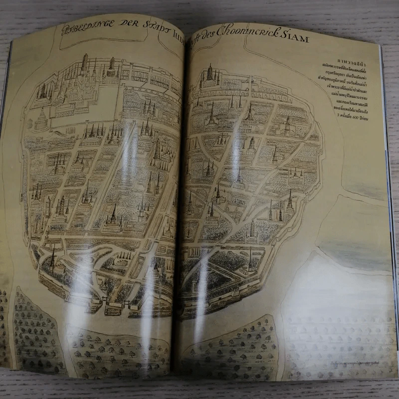 National Geographic ก.ค.2548 สเตมเซลล์ รูปที่ 14