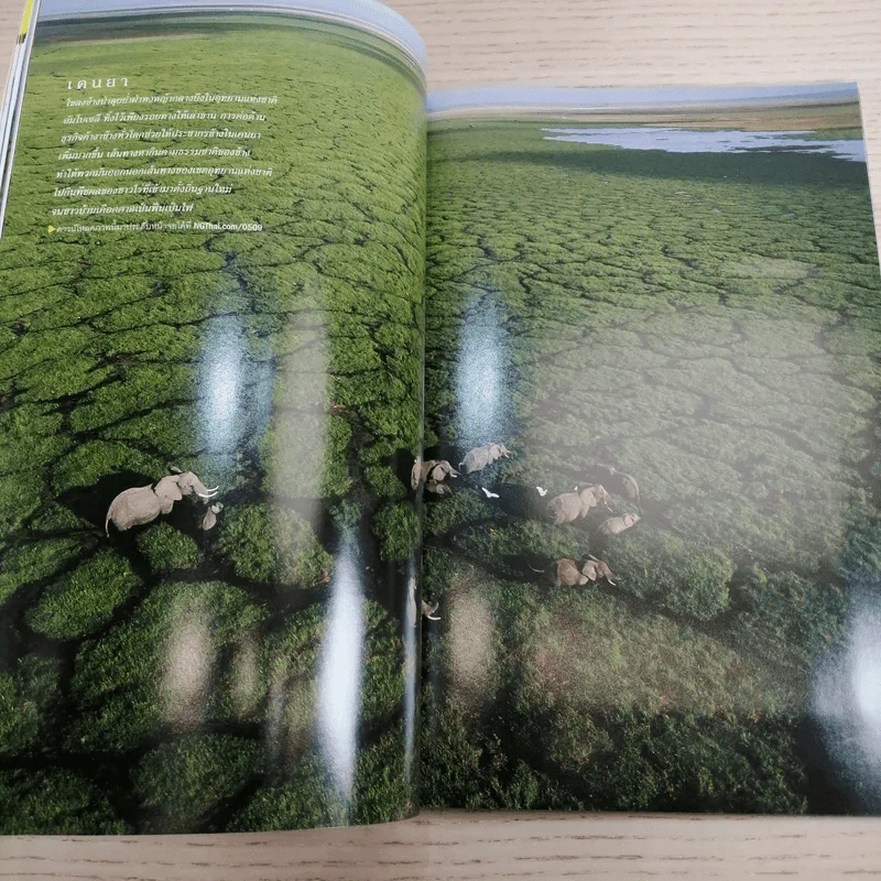 National Geographic ก.ย.2548 แอฟริกา รูปที่ 13
