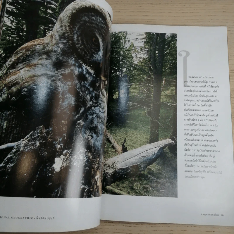 National Geographic มี.ค.2548 สึนามิ โศกนาฏกรรมของแผ่นดิน รูปที่ 13