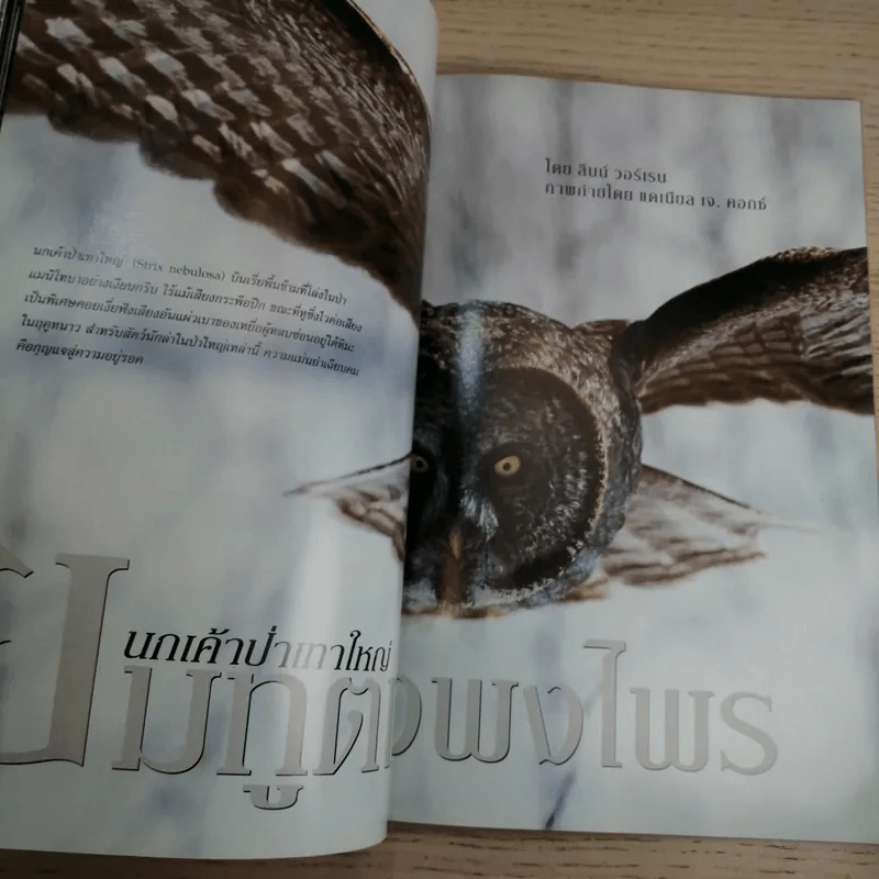 National Geographic มี.ค.2548 สึนามิ โศกนาฏกรรมของแผ่นดิน รูปที่ 12