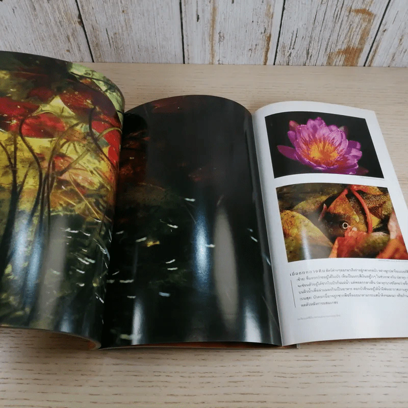 National Geographic ก.พ.2548 ค้นพบเรือสุสานนาซี รูปที่ 13