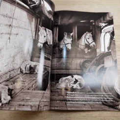 National Geographic ฉบับที่ 122 ก.ย.2554 ใครๆก็บินได้ รูปที่ 12