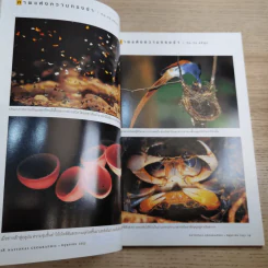 National Geographic ฉบับที่ 106 พ.ค.2553 ปริศนาแห่งการนอน รูปที่ 10