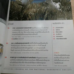 National Geographic ก.ค.2546 แมว ธรรมชาติช่างสรรค์สร้างมา รูปที่ 7