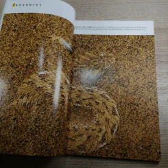 National Geographic ก.ค.2549 ซากใต้โรม รูปที่ 9