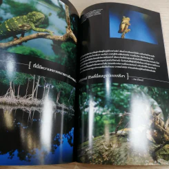 National Geographic ส.ค.2547 ทำไมต้องอ้วน รูปที่ 13