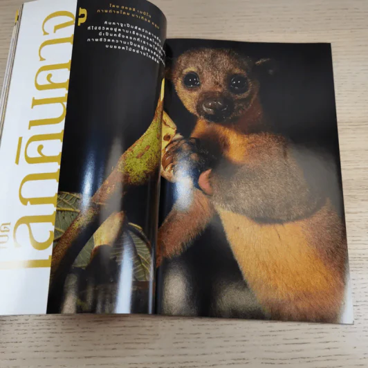 National Geographic ต.ค.2546 มายาปริศนาสุสานบาดาล รูปที่ 13