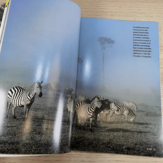National Geographic ก.ย.2546 ศตวรรษนี้ยังมีทาส รูปที่ 13