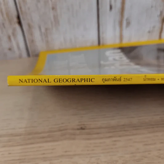 National Geographic ก.พ.2547 หมีขาว พยัคฆ์ร้ายแห่งแดนขั้วโลก รูปที่ 4