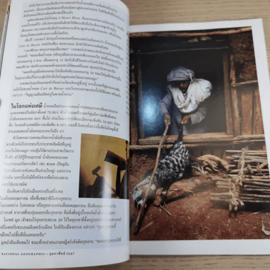 National Geographic ก.พ.2547 หมีขาว พยัคฆ์ร้ายแห่งแดนขั้วโลก รูปที่ 10