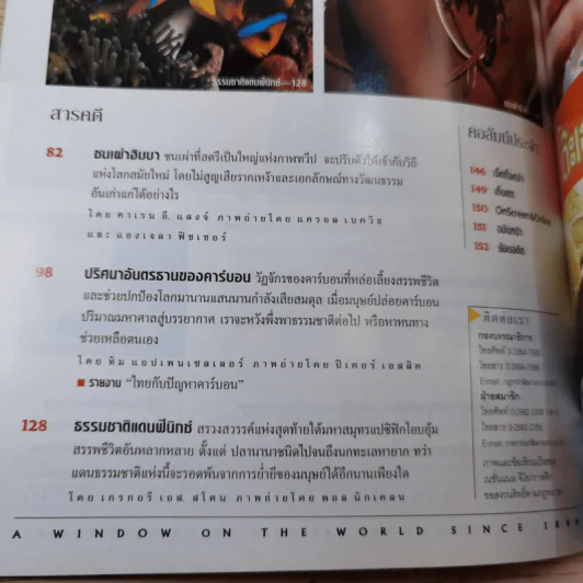 National Geographic ก.พ.2547 หมีขาว พยัคฆ์ร้ายแห่งแดนขั้วโลก รูปที่ 9