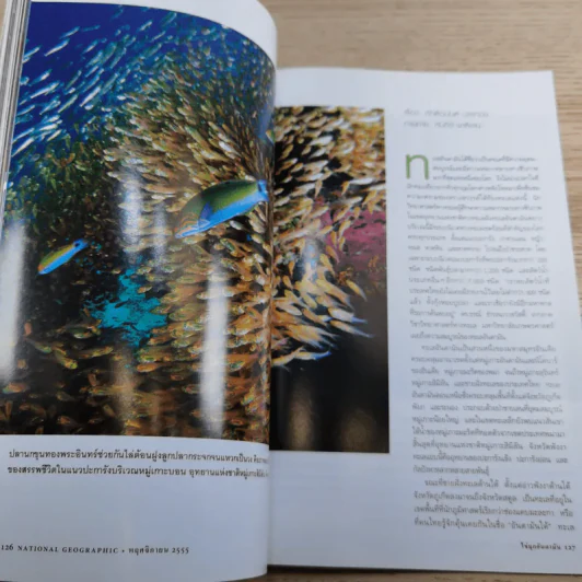 National Geographic พ.ย.2555 ปณิธานพระป่า รูปที่ 15