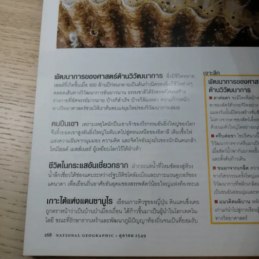 National Geographic ต.ค.2549 ใต้พีระมิดแห่งความตาย รูปที่ 14