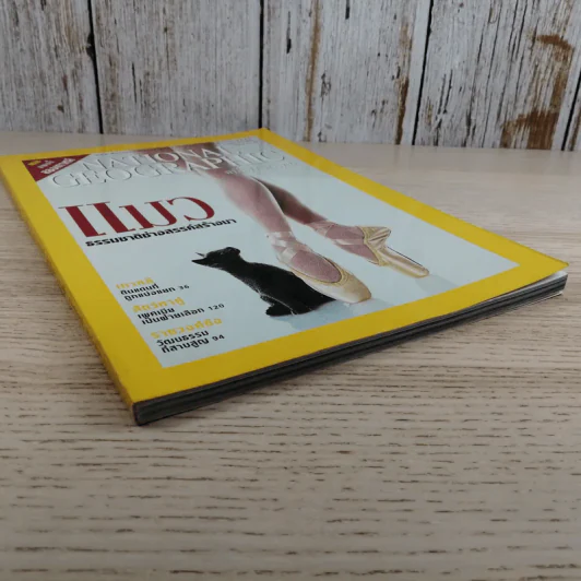 National Geographic ก.ค.2546 แมว ธรรมชาติช่างสรรค์สร้างมา รูปที่ 4