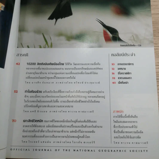 National Geographic ส.ค.2547 ทำไมต้องอ้วน รูปที่ 7