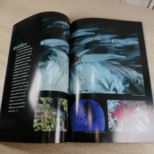 National Geographic ส.ค.2547 ทำไมต้องอ้วน รูปที่ 12