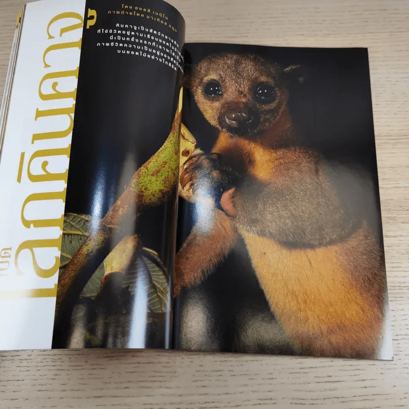National Geographic ต.ค.2546 มายาปริศนาสุสานบาดาล รูปที่ 13