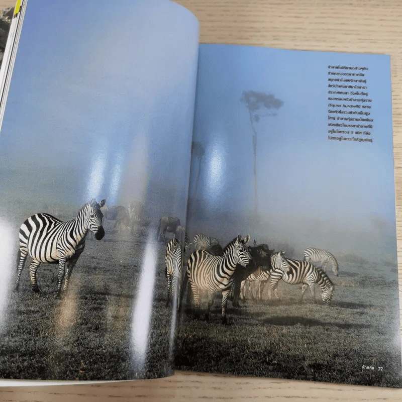 National Geographic ก.ย.2546 ศตวรรษนี้ยังมีทาส รูปที่ 13