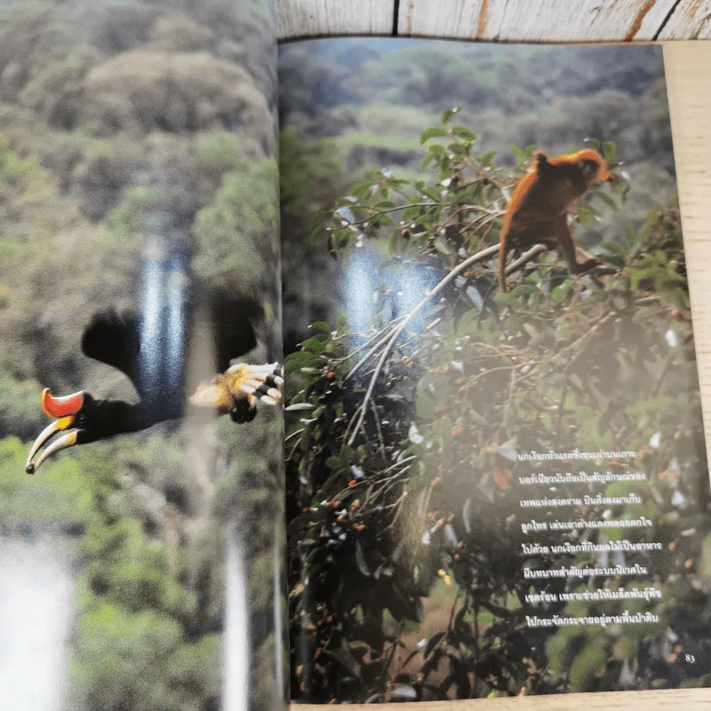 National Geographic ส.ค.2546 จอมทัพเจงกิสข่าน รูปที่ 12