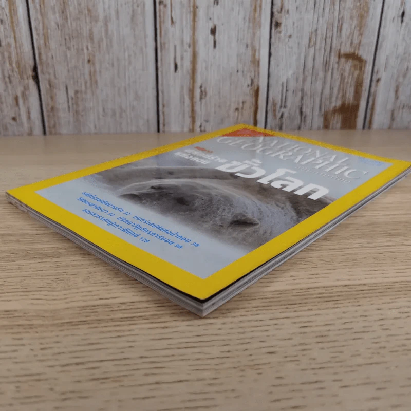 National Geographic ก.พ.2547 หมีขาว พยัคฆ์ร้ายแห่งแดนขั้วโลก รูปที่ 6