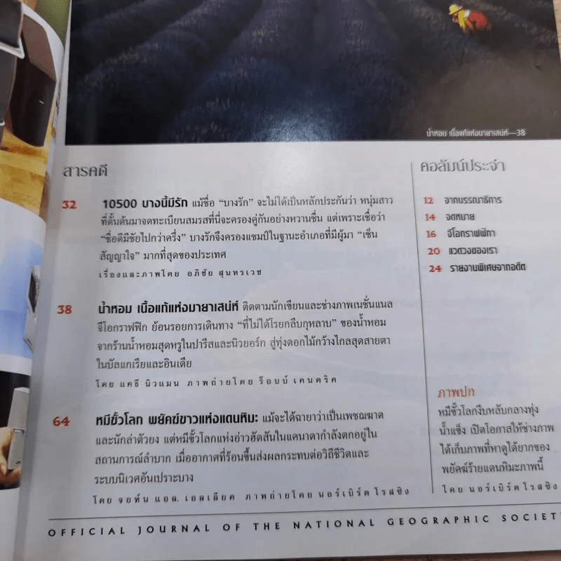 National Geographic ก.พ.2547 หมีขาว พยัคฆ์ร้ายแห่งแดนขั้วโลก รูปที่ 8