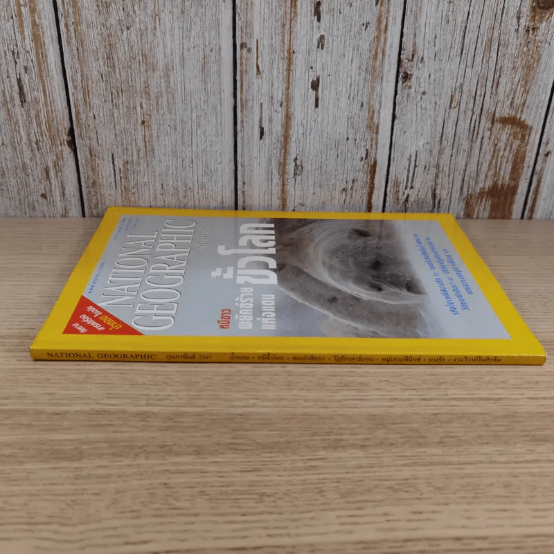 National Geographic ก.พ.2547 หมีขาว พยัคฆ์ร้ายแห่งแดนขั้วโลก รูปที่ 3