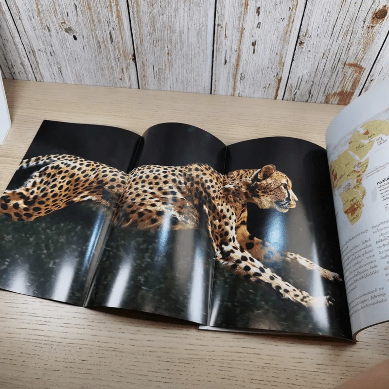 National Geographic พ.ย.2555 ปณิธานพระป่า รูปที่ 12