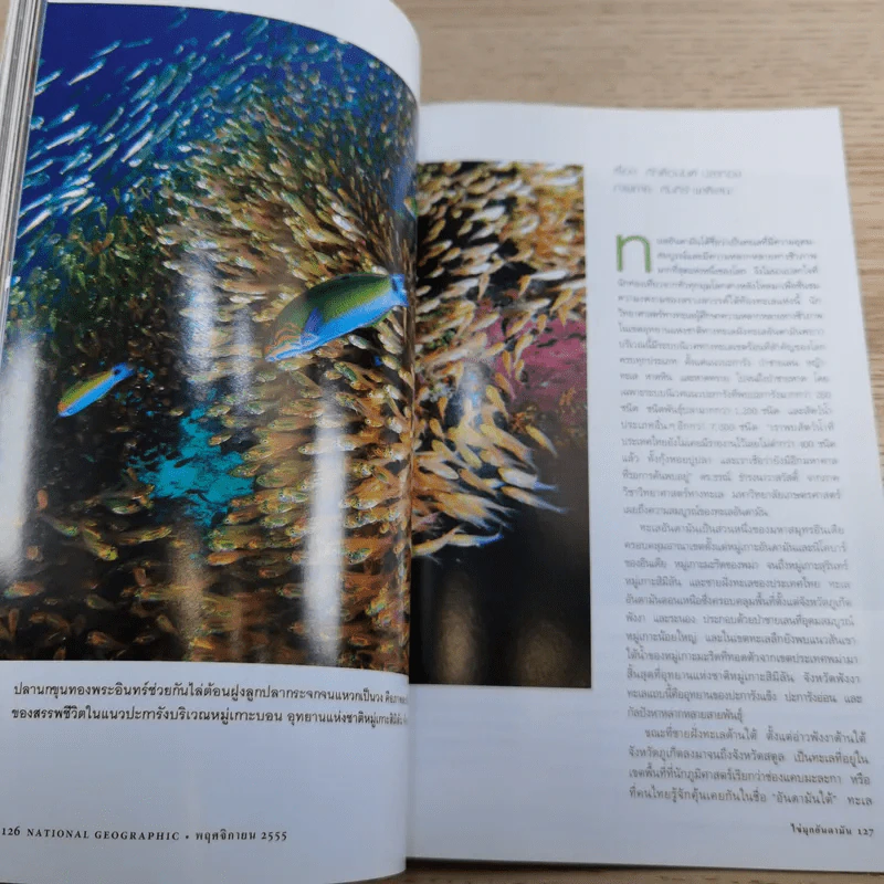 National Geographic พ.ย.2555 ปณิธานพระป่า รูปที่ 15