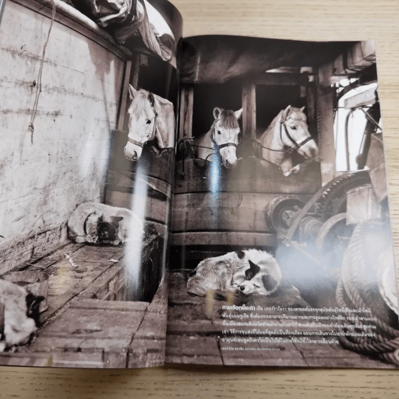 National Geographic ฉบับที่ 122 ก.ย.2554 ใครๆก็บินได้ รูปที่ 12