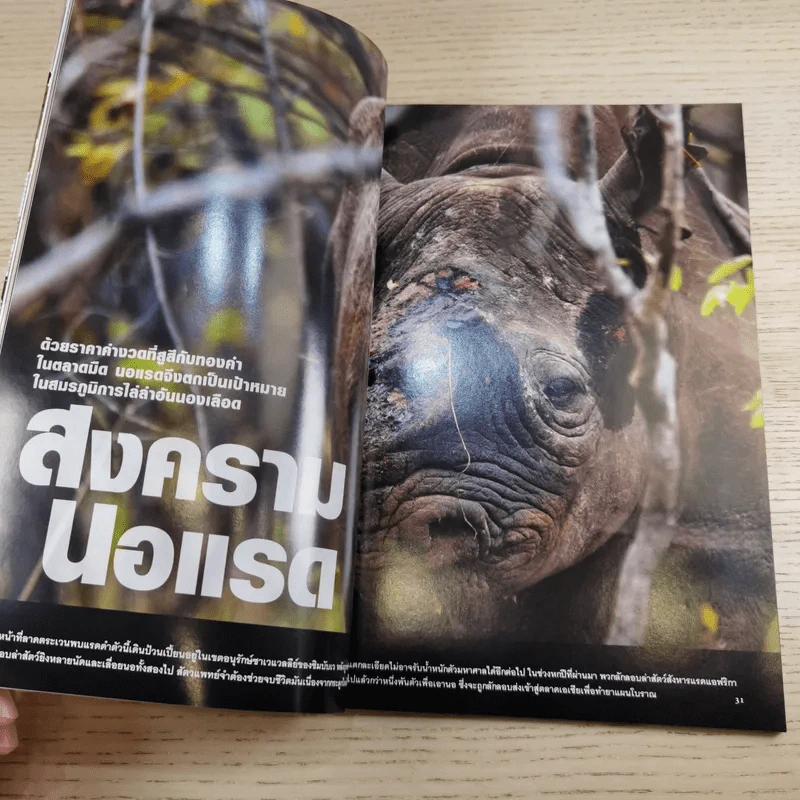 National Geographic ฉบับที่ 128 มี.ค.2555 แกะรอยผลงานปริศนาของดาวินชี รูปที่ 11