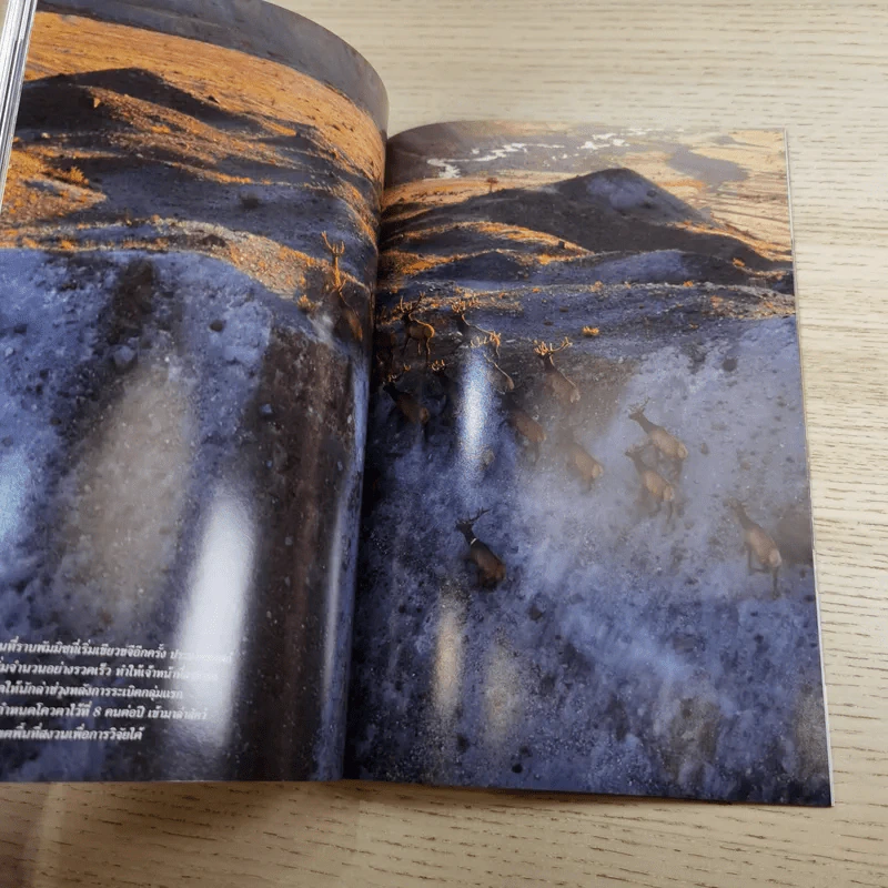 National Geographic ฉบับที่ 106 พ.ค.2553 ปริศนาแห่งการนอน รูปที่ 13