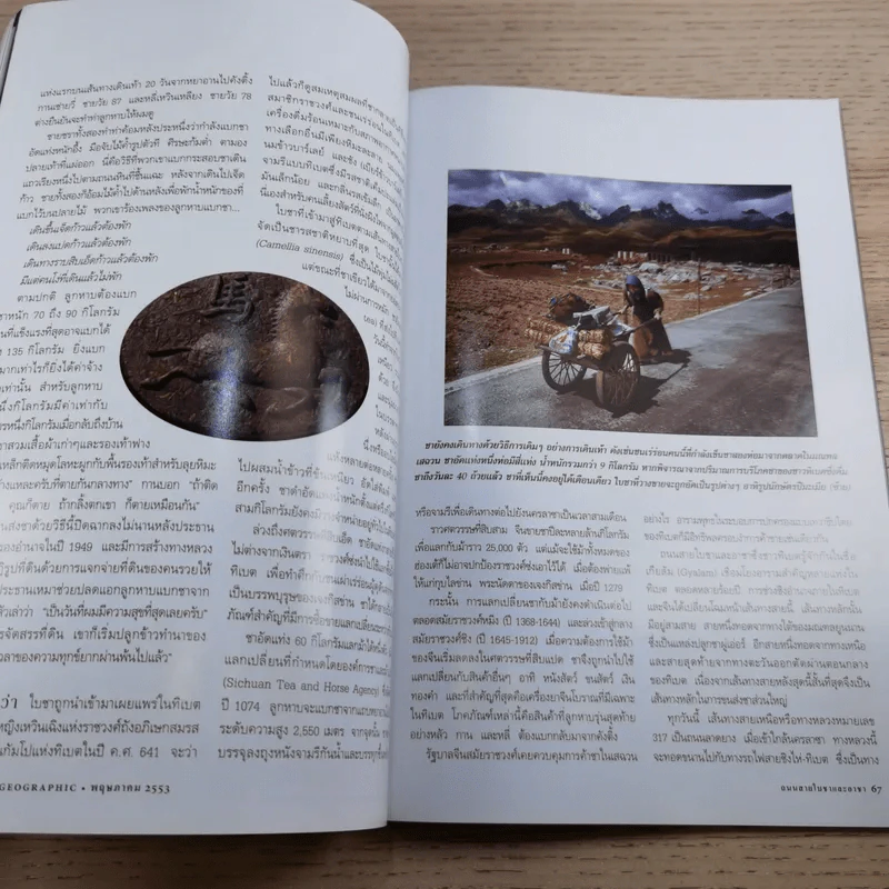 National Geographic ฉบับที่ 106 พ.ค.2553 ปริศนาแห่งการนอน รูปที่ 12
