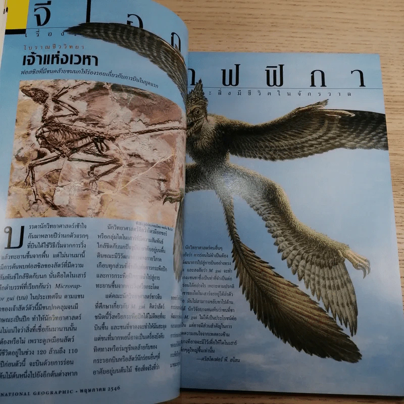 National Geographic พ.ค.2546 50 ปี หลังการพิชิตเอเวอเรสต์ รูปที่ 10