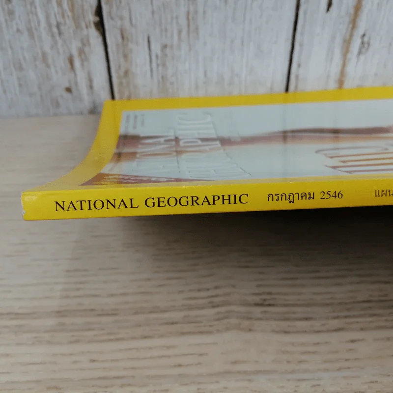 National Geographic ก.ค.2546 แมว ธรรมชาติช่างสรรค์สร้างมา รูปที่ 3